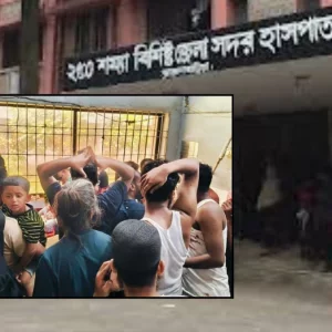 কোরবানিতে মাংস কাটাকাটি করতে গিয়ে ব্রাহ্মণবাড়িয়ায় আহত শতাধিক 