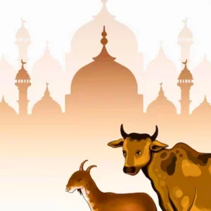 পবিত্র ঈদুল আজহা আজ