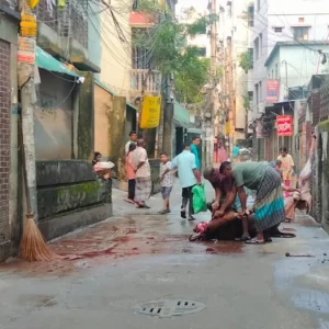 ঈদের দ্বিতীয় দিনেও চলছে পশু কোরবানি