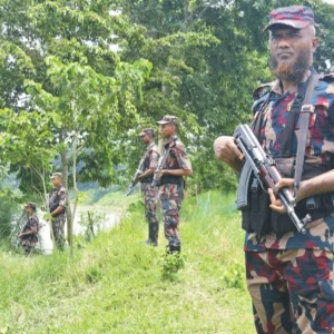 পুশইন ও চামড়া পাচার ঠেকাতে সীমান্তে বাড়তি নজরদারিতে বিজিবি