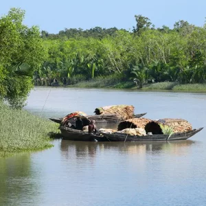 তিন মাসের জন্য সুন্দরবনে প্রবেশ নিষিদ্ধ