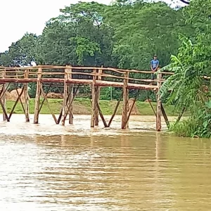 ময়মনসিংহে নিজেদের টাকায় সাঁকো বানালেন গ্রামবাসী