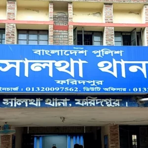 বাজিতে লুডু খেলা নিয়ে সালথায় দুপক্ষের সংঘর্ষ, আহত ৮