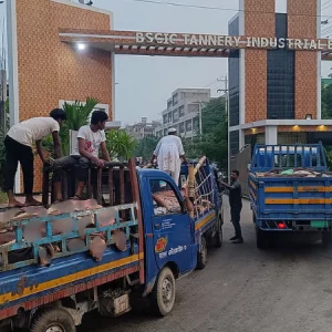তিন দিনে সাভার ট্যানারিতে সাড়ে ৫ লাখের বেশি চামড়া ঢুকেছে
