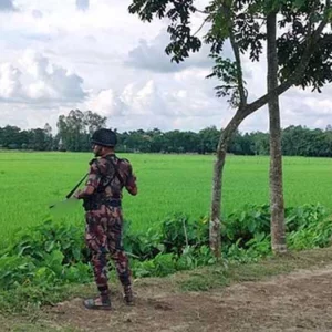 সীমান্ত দিয়ে লোক ঠেলে পাঠানোর চেষ্টা বিএসএফের, বিজিবির প্রতিরোধ