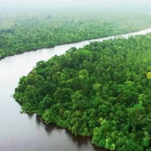 সুন্দরবন প্রবেশে ৩ মাসের নিষেধাজ্ঞা শুরু 