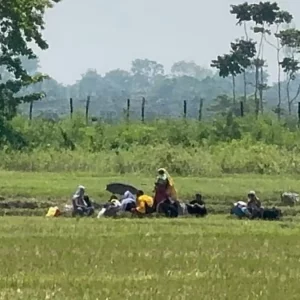 সীমান্তে বিএসএফের পুশইন চেষ্টা, রুখে দিলো বিজিবি