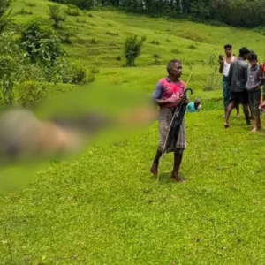 মৌলভীবাজারে বজ্রপাতে একসঙ্গে ১৪ গরু-মহিষের মৃত্যু