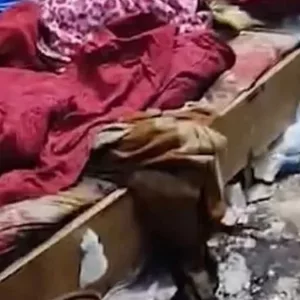 সেই বৃদ্ধার সঙ্গে মানবাধিকার লঙ্ঘন হয়েছে কি না, তদন্ত চেয়ে হাইকোর্টে রিট