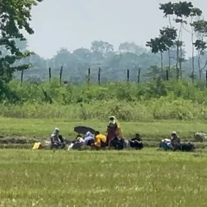 পুশইনের অপেক্ষায় শূন্যরেখায় একদল নারী-পুরুষ