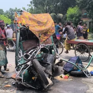 ইজিবাইক ও ট্রাকের মুখোমুখি সংঘর্ষে দুই শিশুসহ নিহত ৩