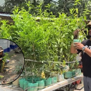 দাদি ও বাবার কবরের ফুলগাছ চুরির জবাবে পুরো গ্রামে ফুলগাছ লাগালেন যুবক