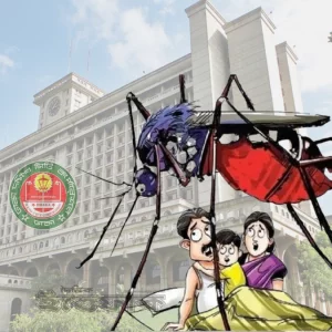 ডিএসসিসি’র ৭৫টি ওয়ার্ডের মধ্যে ৬৩টি ওয়ার্ড ডেঙ্গু ঝুঁকিতে