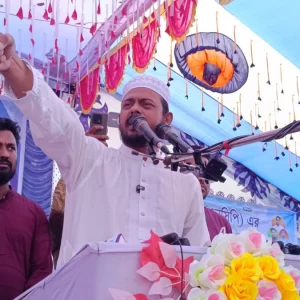 বিএনপি আবারও আওয়ামী লীগের ফাঁদে পড়েছে: নাসীরুদ্দীন পাটওয়ারী