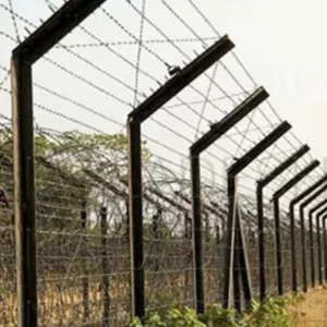 কুষ্টিয়া সীমান্তে তিনটি ককটেল উদ্ধার, আটক ১
