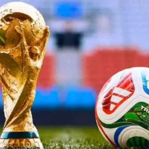 ফিফা বিশ্বকাপের ম্যাচ দেখাবে বাংলাদেশের তিন টিভি চ্যানেল