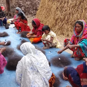 ঝরে পড়া চুলে কর্মসংস্থান গ্রামীণ নারীদের