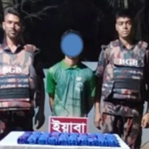 কক্সবাজারে বিজিবির অভিযানে ১৬ কোটি ৮৩ হাজার টাকার ইয়াবা উদ্ধার