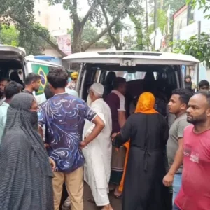 ব্রাহ্মণবাড়িয়ায় পিকআপের ধাক্কায় মা-ছেলেসহ নিহত ৩