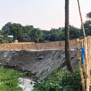 মাছ চাষের জন্য ইজারা, লেক ভরাট করে পার্ক নির্মাণের অভিযোগ