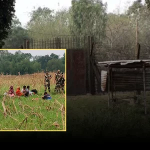 বিজিবির তৎপরতায় শূন্যরেখায় জড়ো করা লোকজন সরিয়ে নিল বিএসএফ