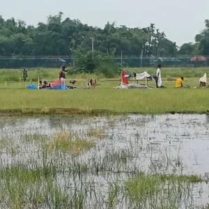 বিএসএফ বন্দুক দেখিয়ে নারী-শিশুদের বাংলাদেশে ঢোকাচ্ছে