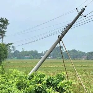 বগুড়ায় একমাস আগে হেলে পড়া বৈদ্যুতিক খুঁটি বাঁশ দিয়ে রক্ষার চ