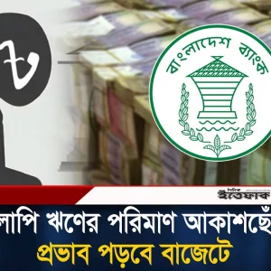 ৪৪ টি ব্যাংকে বেড়েছে খেলাপি ঋণ