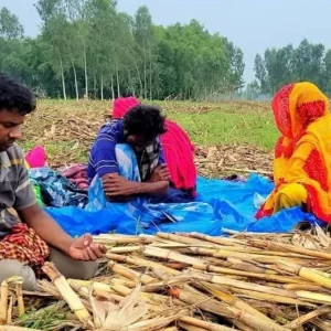 বিজিবির তৎপরতায় শূন্যরেখা থেকে ১১ জনকে সরিয়ে নিলো বিএসএফ