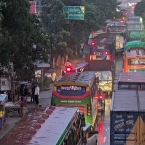ঝড়ে গাছ উপড়ে পড়ে ঢাকা-চট্টগ্রাম মহাসড়কে ১৩ কিলোমি