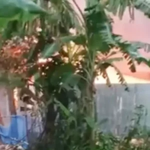 কিশোরীকে ধষর্ণ-হত্যার জেরে আসামিদের বাড়িতে আগুন, দগ্ধ হয়ে ৩
