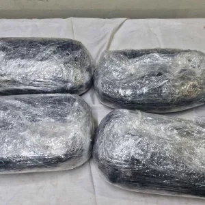 নাড়ুর কথা বলে কুরিয়ার সার্ভিসে ১৪ কেজি গাঁজা বুকিং