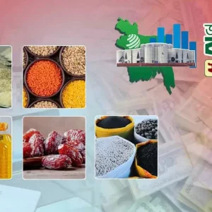বাজেটে যেসব পণ্যের দাম কমতে পারে