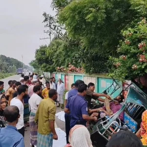 কিশোরগঞ্জে ট্রাকচাপায় অটোরিকশার ২ যাত্রী নিহত, আহত ৩
