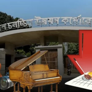 বাজেটে সংস্কৃতি খাতে বড় চমক, দাম কমবে বাদ্যযন্ত্র ও ক্যামেরার