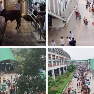 মেট্রোরেল স্টেশনে হাট বসিয়ে ৩০ লাখ টাকার ক্ষতি