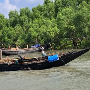 সুন্দরবনে অপহরণের ৩ দিন পর বনবিভাগের বেতার চালকসহ তিনজনের মুক্তি