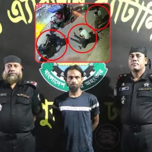 মিরপুরে চলন্ত ইট মেরে মোটরসাইকেল ছিনতাই: মূল পরিকল্পনাকারী আ