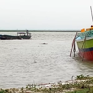 তিন দিনে যমুনার পানি বেড়েছে ৮৫ সেন্টিমিটার