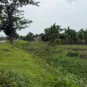 বাবার স্মৃতিবিজড়িত ‘পাতলী খাল’ পুনঃখনন করবেন প্রধানমন্ত্রী