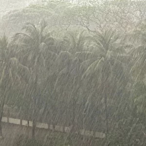 দেশের সর্বত্র ছড়িয়ে পড়েছে বর্ষাবাহী মৌসুমি বায়ু