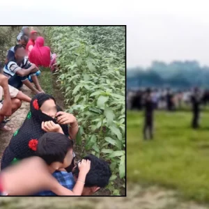 কুষ্টিয়া সীমান্তে ঠেলে দেওয়া ১২ জনের দুদিন কাটলো খোলা আকাশের নিচে 