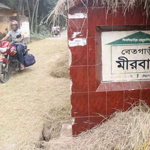 বগুড়ায় প্রতিমন্ত্রী শাহে আলমের দুই ছেলে ও পৈতৃক বাড়ির নামে তিন ইউনিয়ন গঠনের অভিযোগ