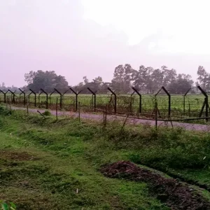 পাটগ্রাম সীমান্তে বিএসএফের পুশইন চেষ্টা বিজিবির বাধায় পণ্ড
