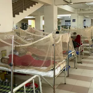 ডেঙ্গুতে আরও একজনের মৃত্যু, ২৪ ঘণ্টায় হাসপাতালে ভর্তি ১১৩