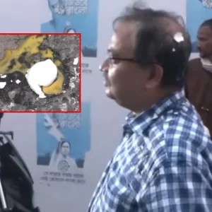 মমতা ব্যানার্জীর বাড়ির সামনে কুনাল ঘোষের মাথায় ছোঁড়া হলো পঁচা ডিম 