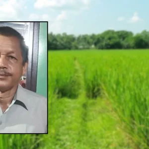 ‘আমি এসে ভাত খাবো’— বলে বেরিয়ে নিখোঁজ স্কুলদপ্তরি, বিলে পড়েছিল মরদেহ