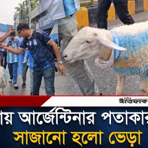 কুষ্টিয়ায় আর্জেন্টিনার পতাকার রঙে সাজানো হলো ভেড়া