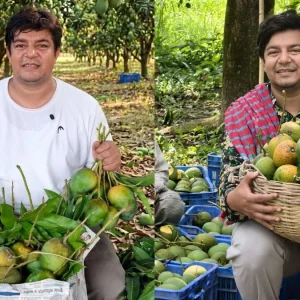 শুধু রঙ দেখে নয়, গন্ধ শুকে বুঝুন আম মিষ্টি না টক