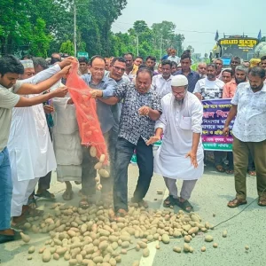 রংপুরে হিমাগারের ভাড়া বৃদ্ধি: প্রতিবাদে রাস্তায় আলু ফেলে চাষদের বিক্ষোভ